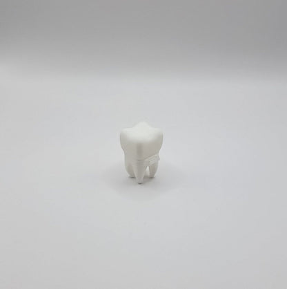 Cutie personalizata Zana Maseluta pentru pastrarea amintire a primului dintisor de lapte printata 3D